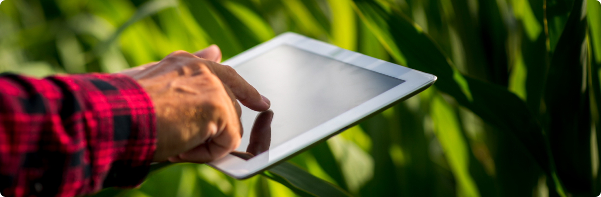 3. Precision Agriculture in Farming